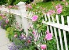 Kwikfynd Garden fencing
cannie
